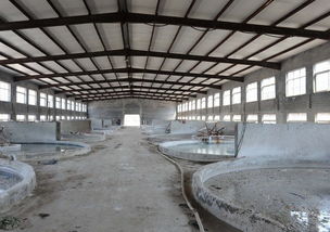 學(xué)洋明膠蛋白廠浸泡車(chē)間 皮革制品處理的工業(yè)現(xiàn)場(chǎng)剖析